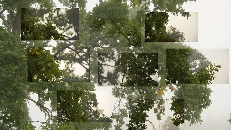 Eija-Lissa Ahtila, On Breathing, 2024, video 4K, 9'45"