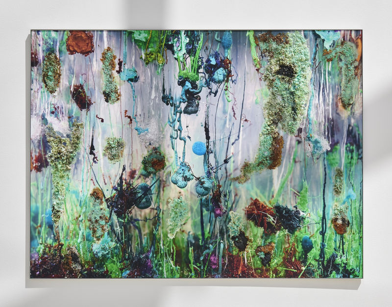 Agnieszka Kurant - The World Through AI: Jeu de Paume