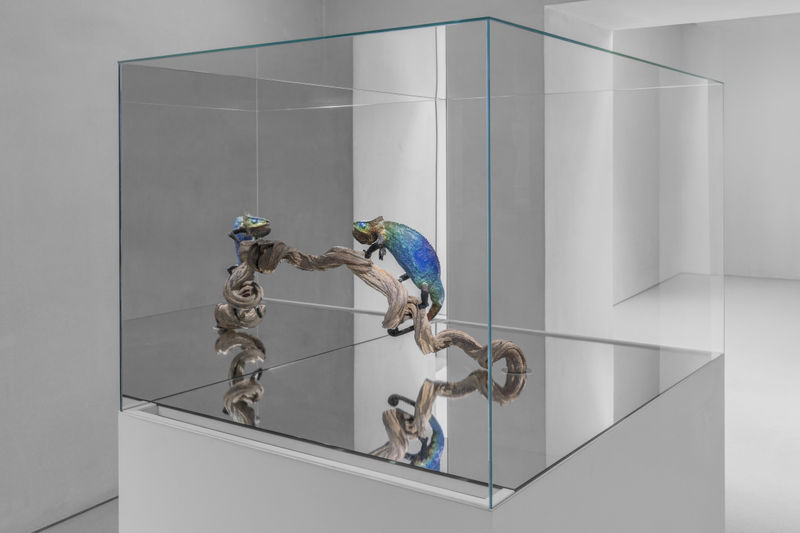 Exhibition view Pinault Collection - Bourse de Commerce, Arte Povera, 10. 2024 - 1.2025 Photo Nicolas Brasseur Courtesy Pinault Collection - Bourse de Commerce Bronze, museum glass (or uv plexiglass), liquid crystal pigments, heat sinks, Peltier elements,