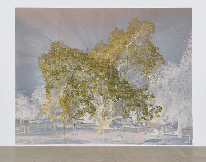 Tacita Dean Purgatory (2nd Cornice), 2021 Colored pencil on Fuji Velvet paper mounted on paper