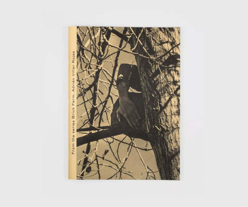 Adrián Villar Rojas From the Series Brick Farm