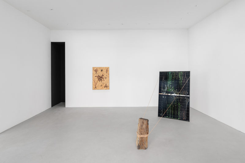 Installation view everything, entangled, all at once, 2025