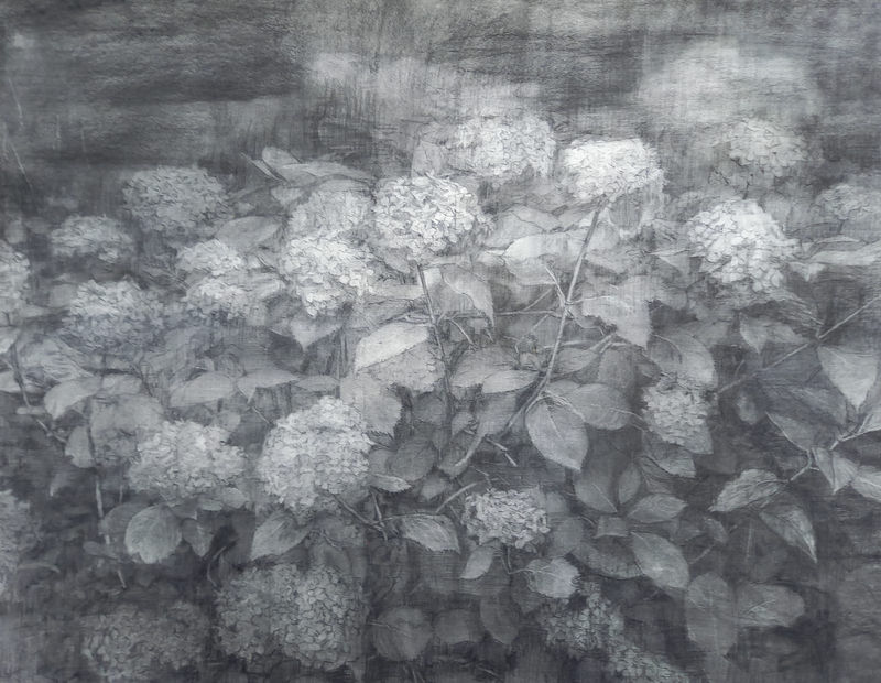 Maeve McCarthy, 'Lost garden', charcoal on paper, 105 x 132cm