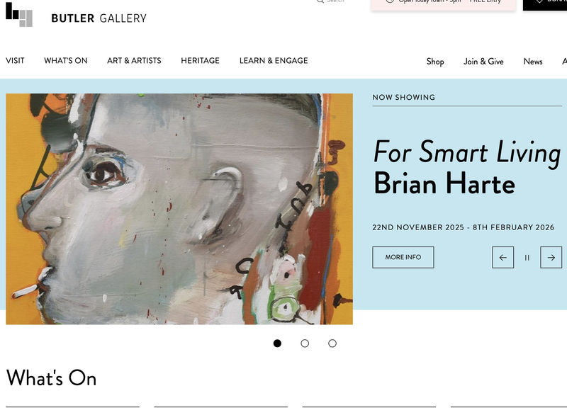 Brian Harte at the Butler Gallery