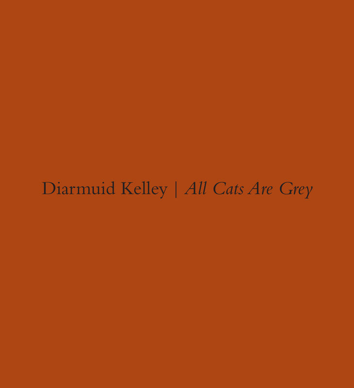 Diarmuid Kelley: All Cats Are Grey . Selected Works 2011-2013, AVAILABLE