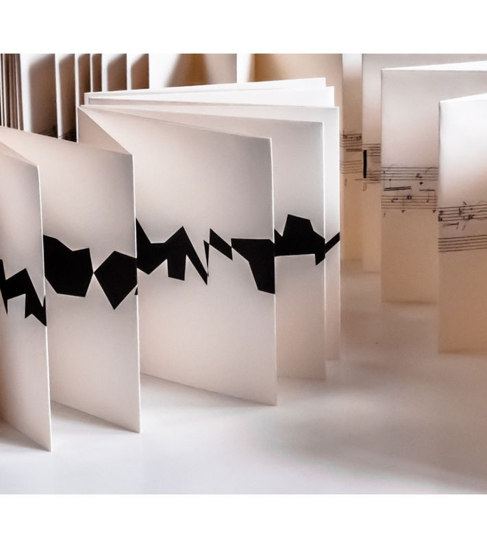 Vera Molnar, Ni queue ni tête