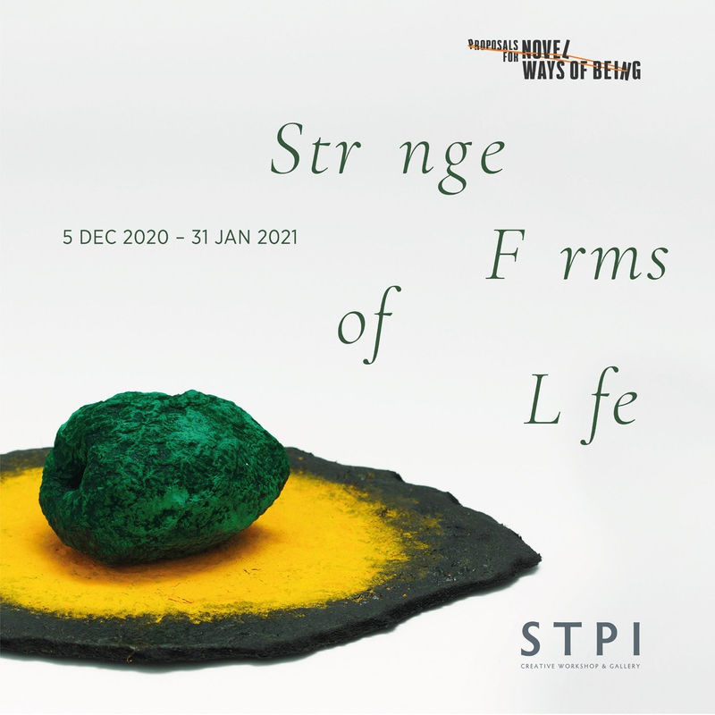 Guo-Liang Tan "Strange Forms of Life” STPI Gallery, Singapore