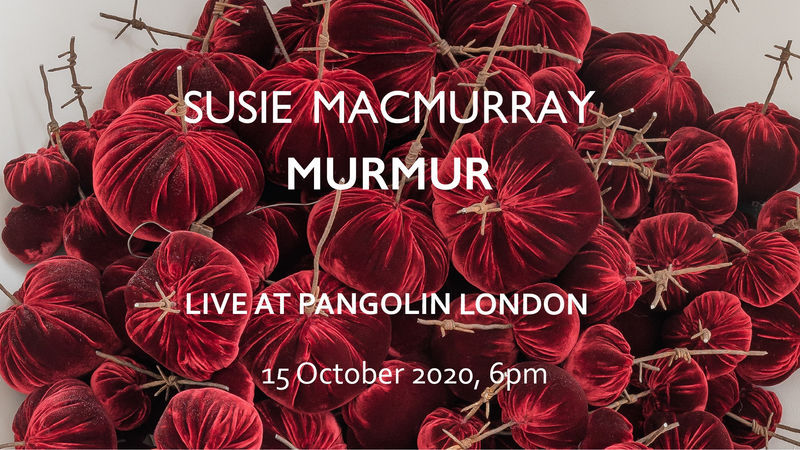 Susie MacMurray: Murmur, LIVE ARTIST TOUR