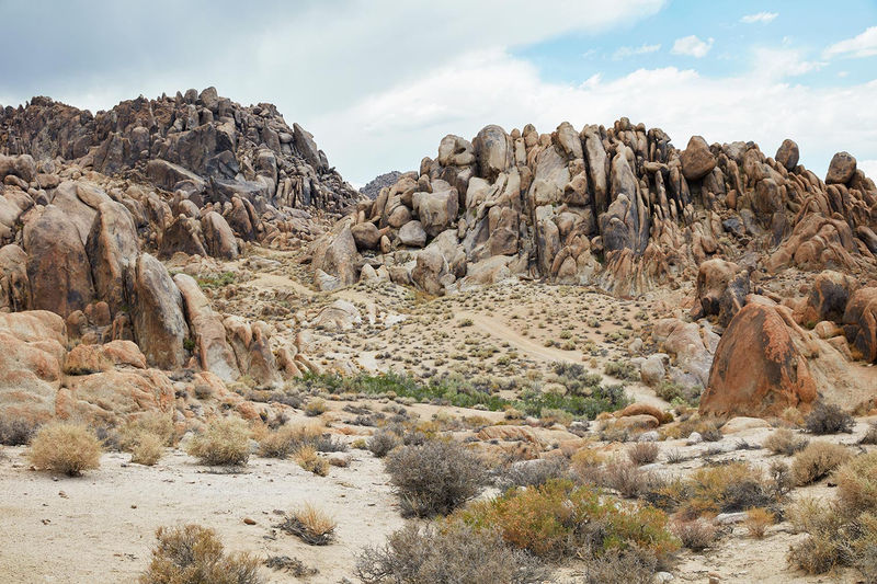 Near Twin Pines, California 2017