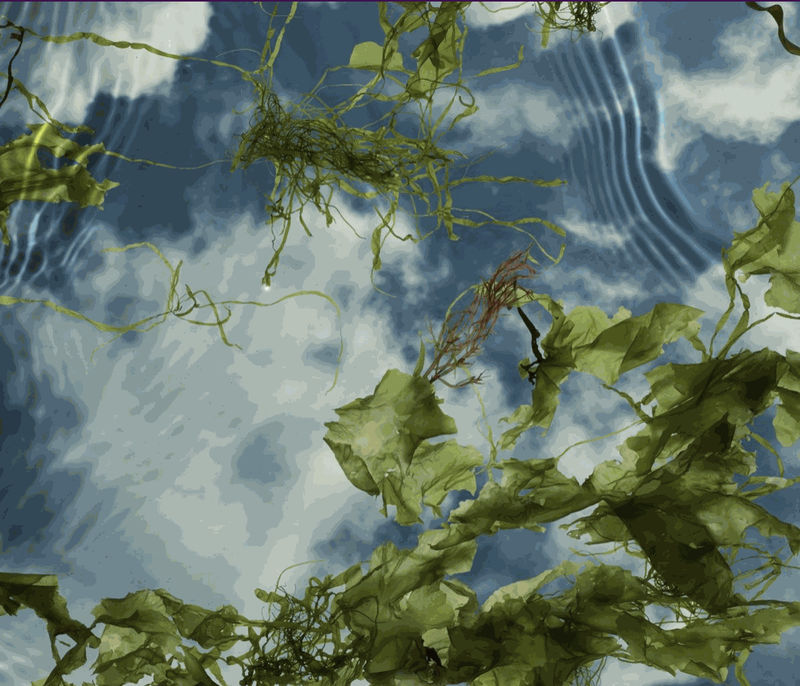 SQUARING THE CIRCLES: SCARBOROUGH ART GALLERY