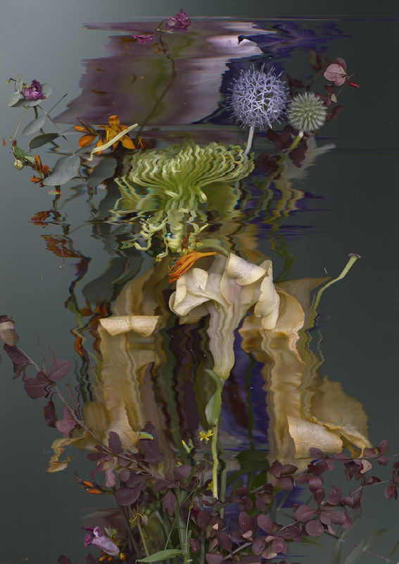 SANDRA KANTANEN INCLUDED IN 'BLUR / OBSCURE / DISTORT: PHOTOGRAPHY AND PERCEPTION' AT THE NORTON MUSEUM OF ART IN WEST PALM BEACH, FLORIDA