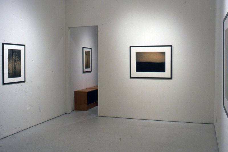 Han Nguyen | New Photographs