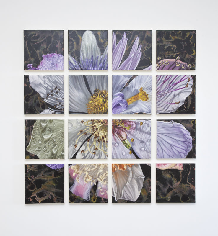 Gail Roberts | Natural Selection