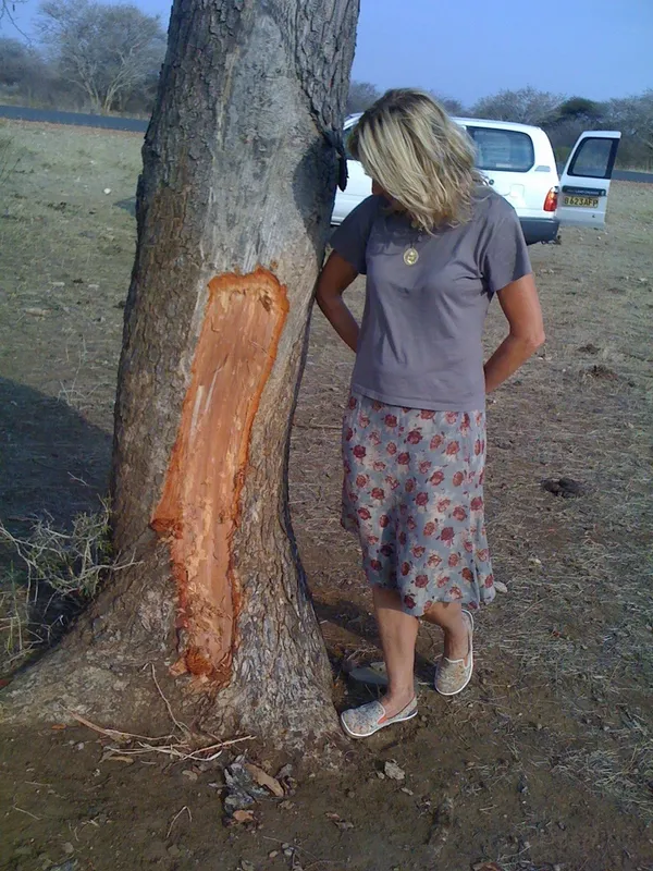 Rebecca Hossack in the Kalahari desert