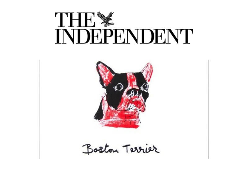 Get Your Canine on Canvas