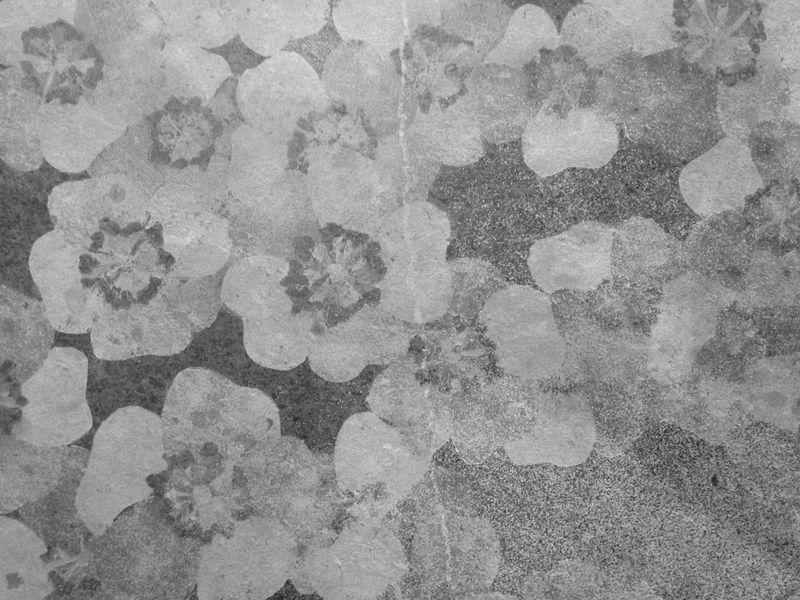 Rose I, 2018, Cumbrian slate