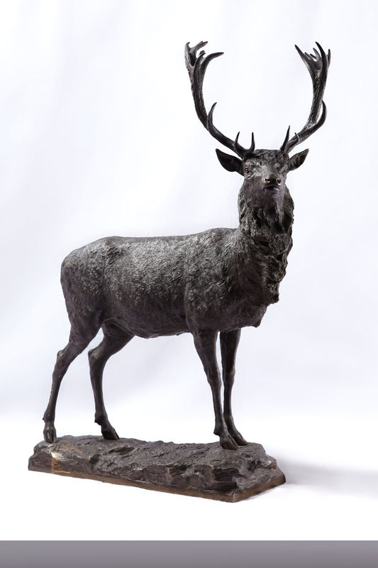 Stag . RSA Diploma Collection