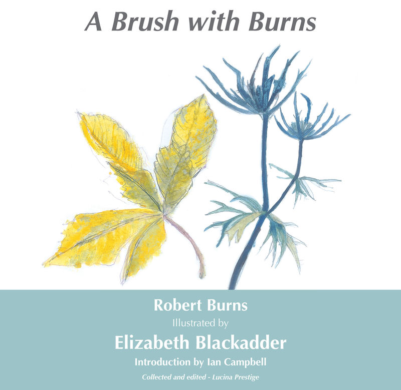 A Brush with Burns