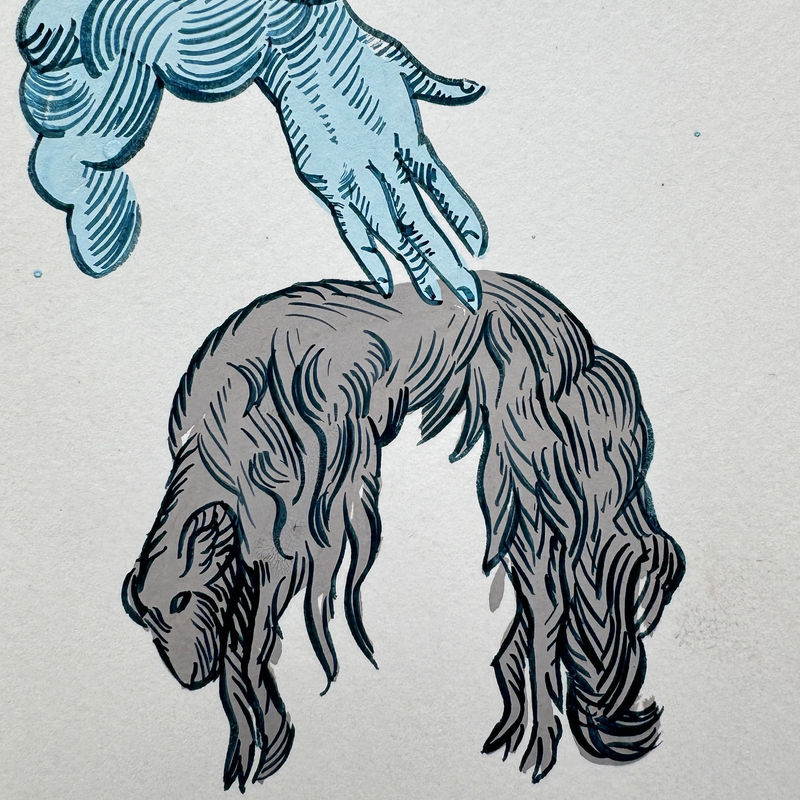 Sharon Goodwin: The back of my head is none of my business