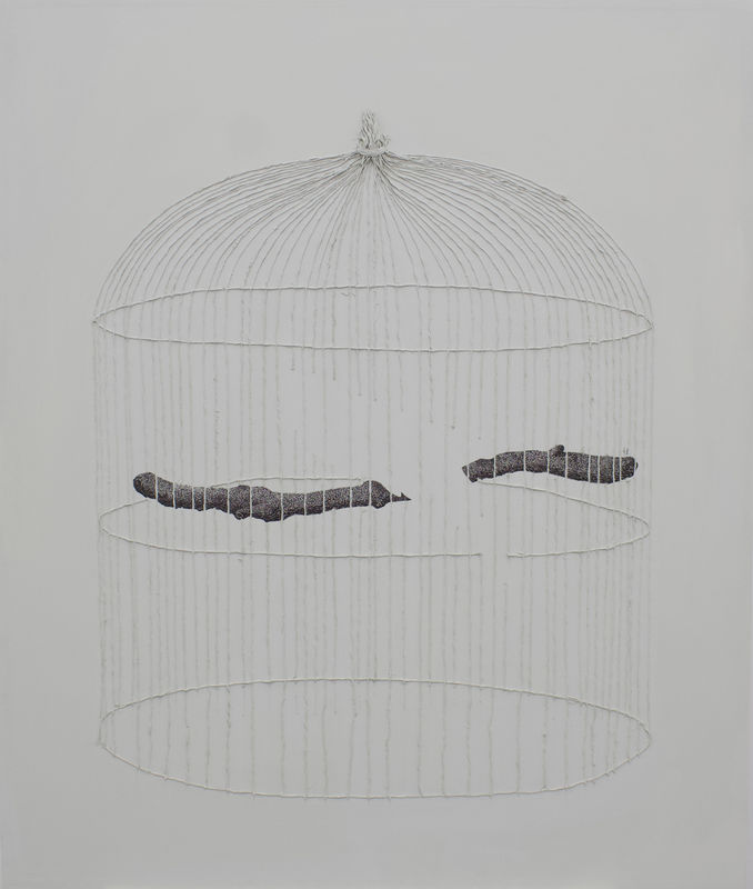 Enclosed, Firi Rahman