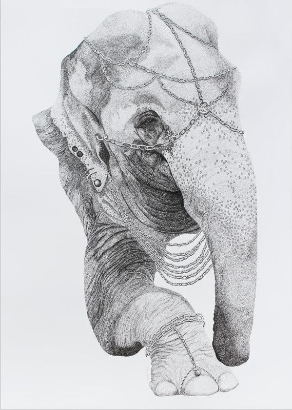 Prediction Extinction, Firi Rahman