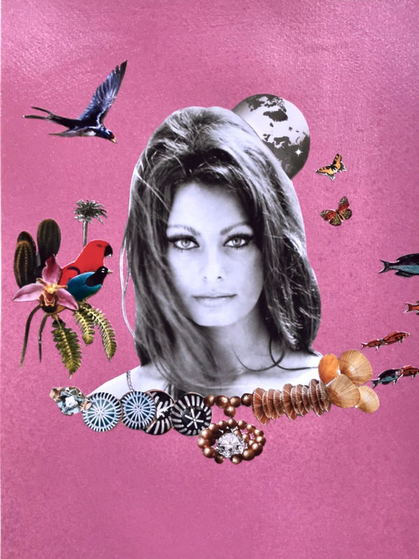 Criscuolo-Coral-Pink-Castaway-Sophia-Loren-Collage-Portrait-Manor-Gallery-Exeter-Devon-Topsham