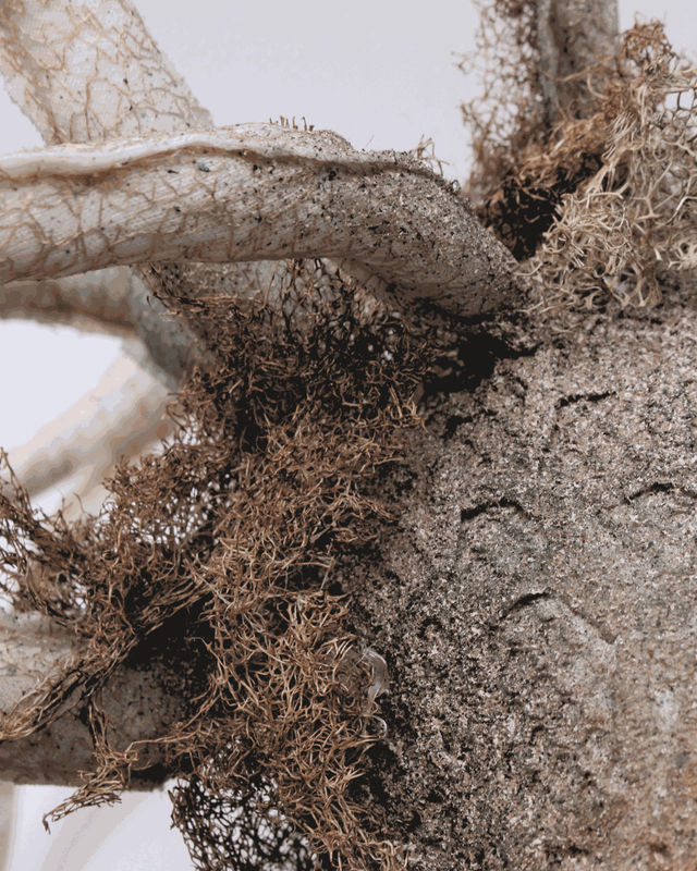 Across a Velvet Horizon, an Exhibition of Nada Baraka and Esraa Elfeky , Tabari Artspace