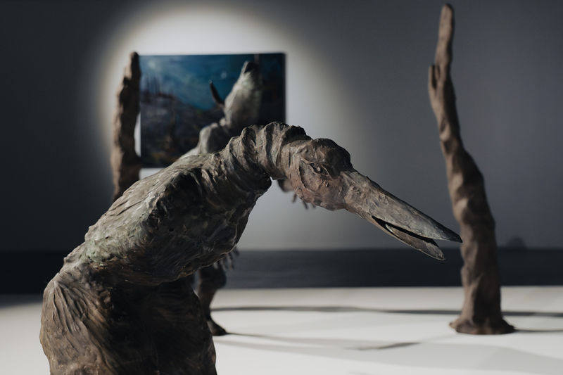 Maitha Abdalla Solo at Abu Dhabi Cultural Foundation, Between Metamorphosis and Reality