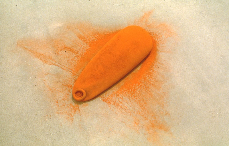 spice works, Ernesto Neto