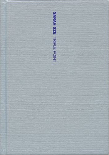 book cover of Sarah Sze Triple Point