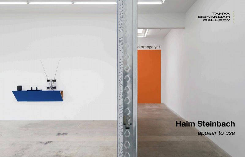 Haim Steinbach's cover image