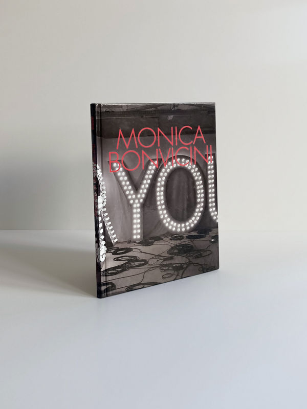 book cover image of Monica Bonvicini