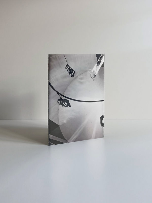 book cover image of Monica Bonvicini