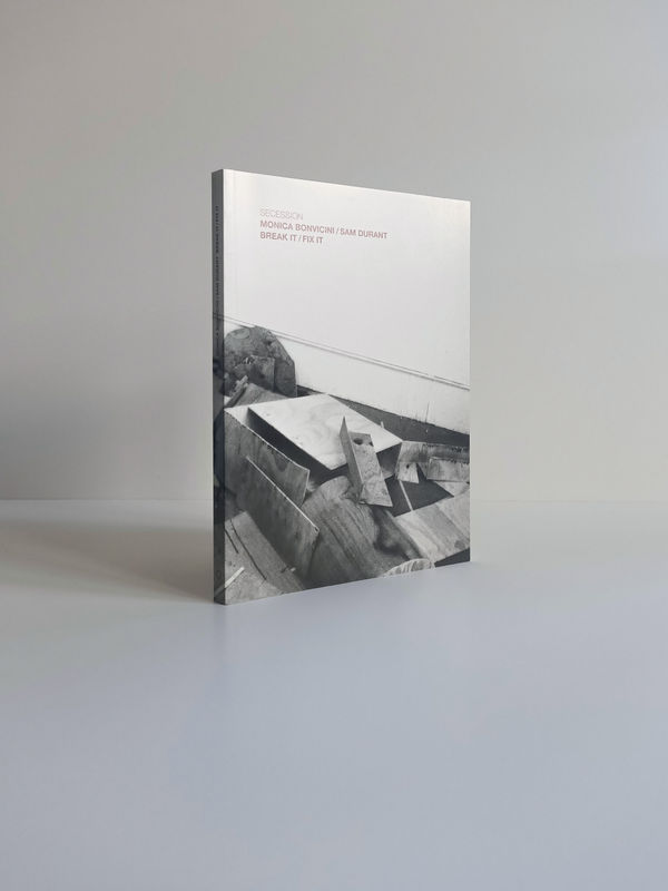 book cover image of Monica Bonvicini