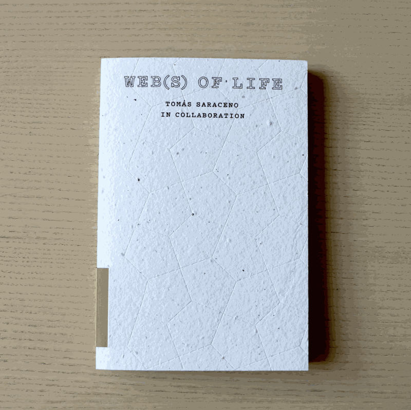 saraceno book cover image