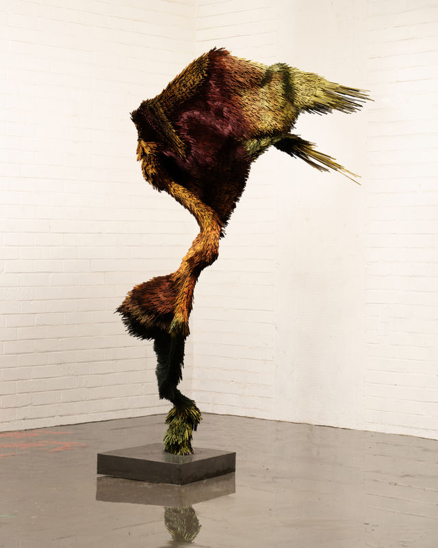 Jake Michael Singer | Chromakey Dreamcoat | 2020