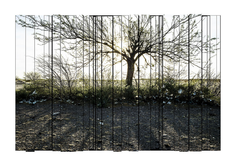 Barry Salzman: The Landscape as witness