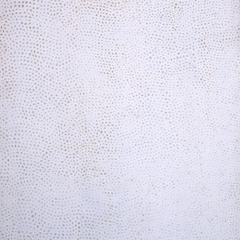 An exhibition focusing on Yayoi Kusama’s iconic Infinity Nets opens at the Yayoi Kusama Museum, Tokyo