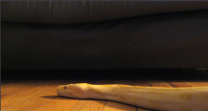 Keren Cytter: Killing Time Machine