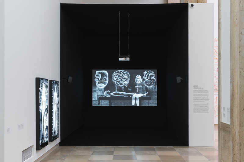 Mary Reid Kelley: Blind Faith - Between the Visceral and the Cognitive in Contemporary Art