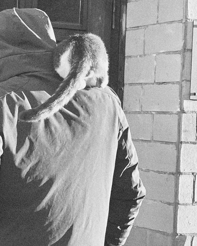 Keren Cytter: Relatable