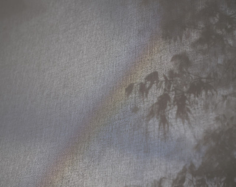 The Guardian Featuring Nadav Kander Through my lockdown lens: 11 leading photographers capture their confinement