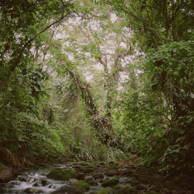 Mona Kuhn exhibition featured on Le Journal de La Photographie