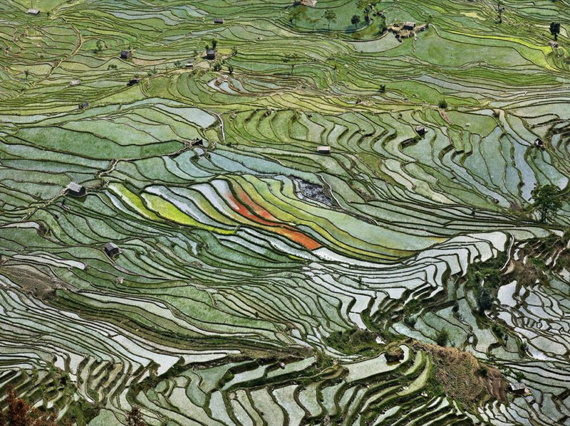 Edward Burtynsky featured on The Economist