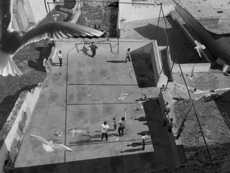 David Claerbout, The Algiers' Sections of A Happy Moment (27677), 2011