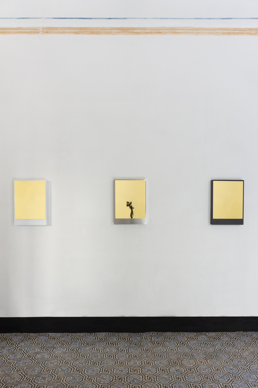 Edoardo Dionea Cicconi, XYZT