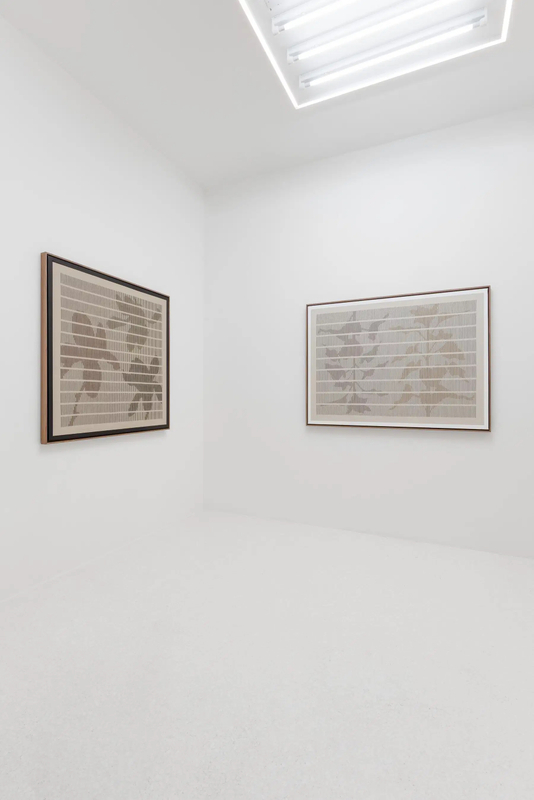 Andreas Diaz Andersson, Flora (Cadogan Gallery Solo, Milan). Courtesy of ©Cadogan Gallery and Pietra Studio.