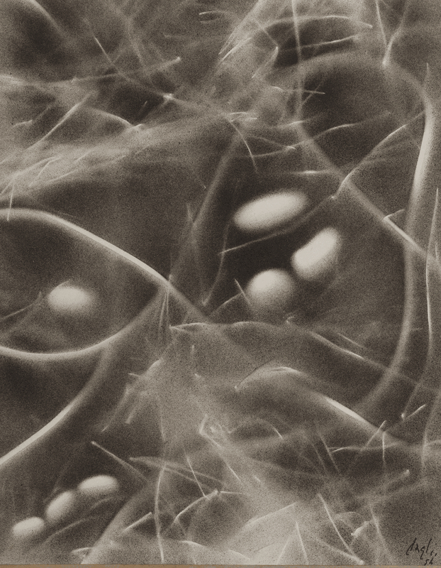 Screenshot 2024 01 10 At 15 06 31