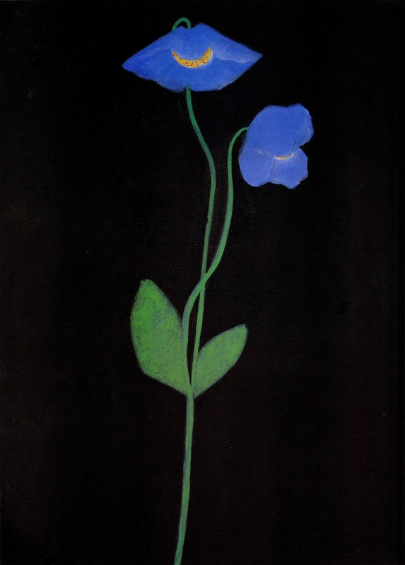<span class=%22title%22>Tibetan Blue Poppy<span class=%22title_comma%22>, </span></span><span class=%22year%22>2001</span>