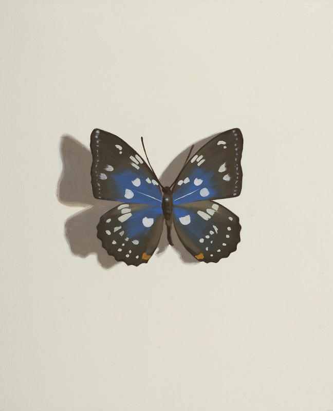 <span class=%22title%22>Pinned II<span class=%22title_comma%22>, </span></span><span class=%22year%22>2016</span>